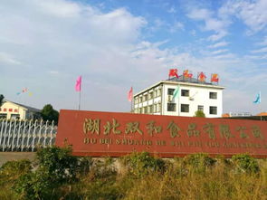 武穴這家食品廠要火了！再過(guò)4天，武山湖都是酸辣味