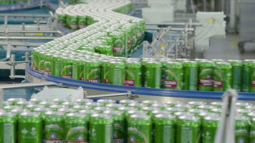 線上線下多維賦能，青島啤酒以品質致敬冬奧會網站建設