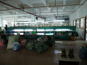 東莞市農(nóng)村社區(qū)集體資產(chǎn)管理網(wǎng)在東風(fēng)社區(qū)的應(yīng)用 網(wǎng)絡(luò)工程實踐與展望